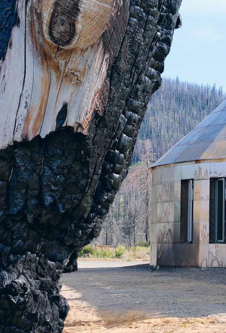 Beispielinhalt (Bild) Light on Wood