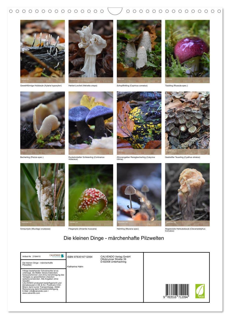 Beispielinhalt (Bild) Die kleinen Dinge - märchenhafte Pilzwelten (Wandkalender 2026 DIN A3 hoch), CALVENDO Monatskalender