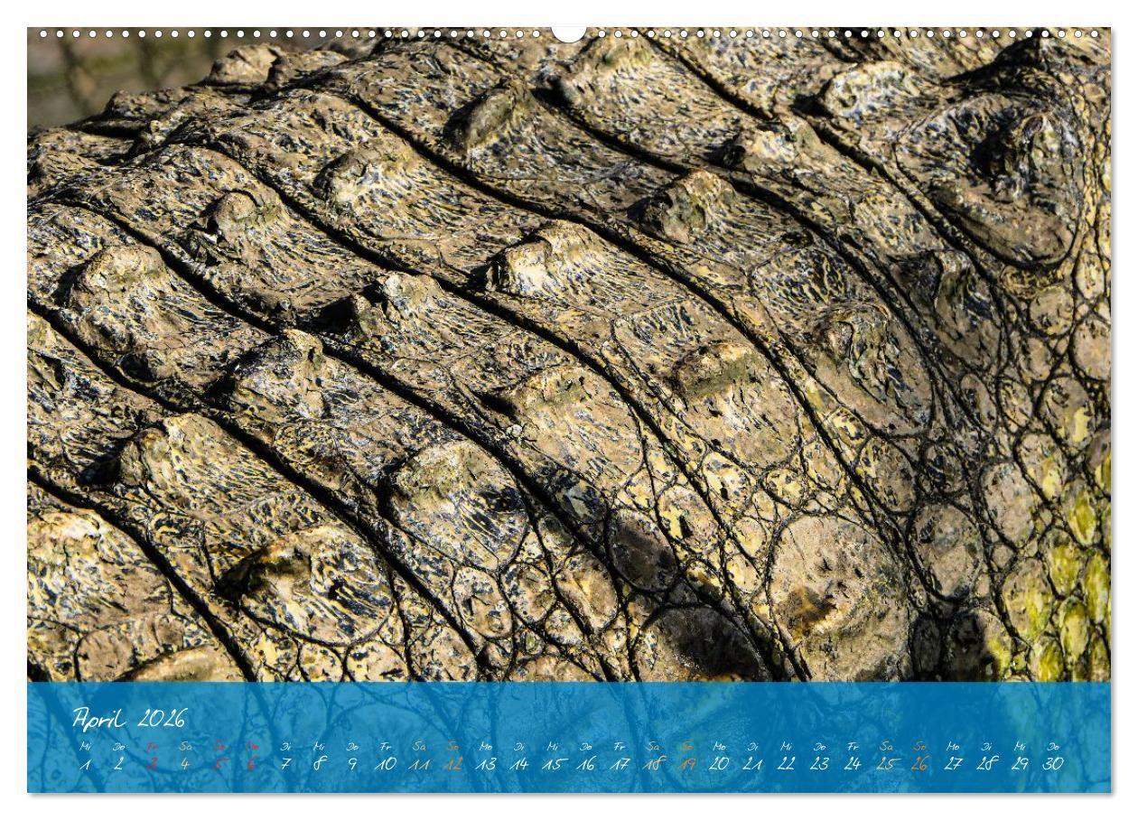 Beispielinhalt (Bild) Natur abstrakt Farben und Strukturen (Wandkalender 2026 DIN A2 quer), CALVENDO Monatskalender