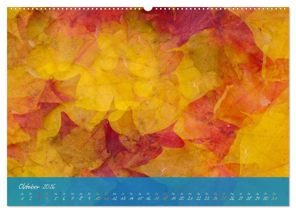 Beispielinhalt (Bild) Natur abstrakt Farben und Strukturen (Wandkalender 2026 DIN A2 quer), CALVENDO Monatskalender