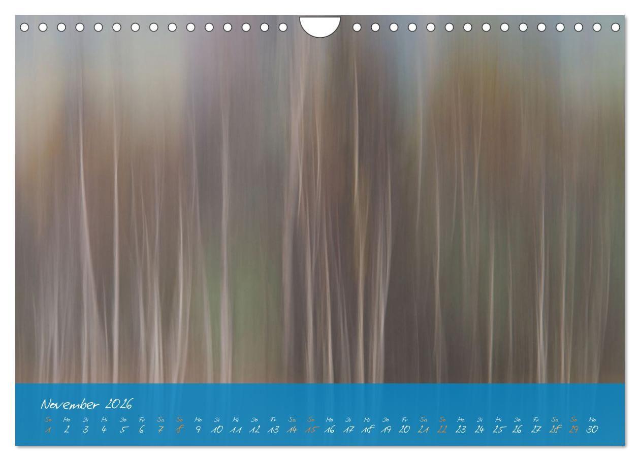 Beispielinhalt (Bild) Natur abstrakt Farben und Strukturen (Wandkalender 2026 DIN A4 quer), CALVENDO Monatskalender