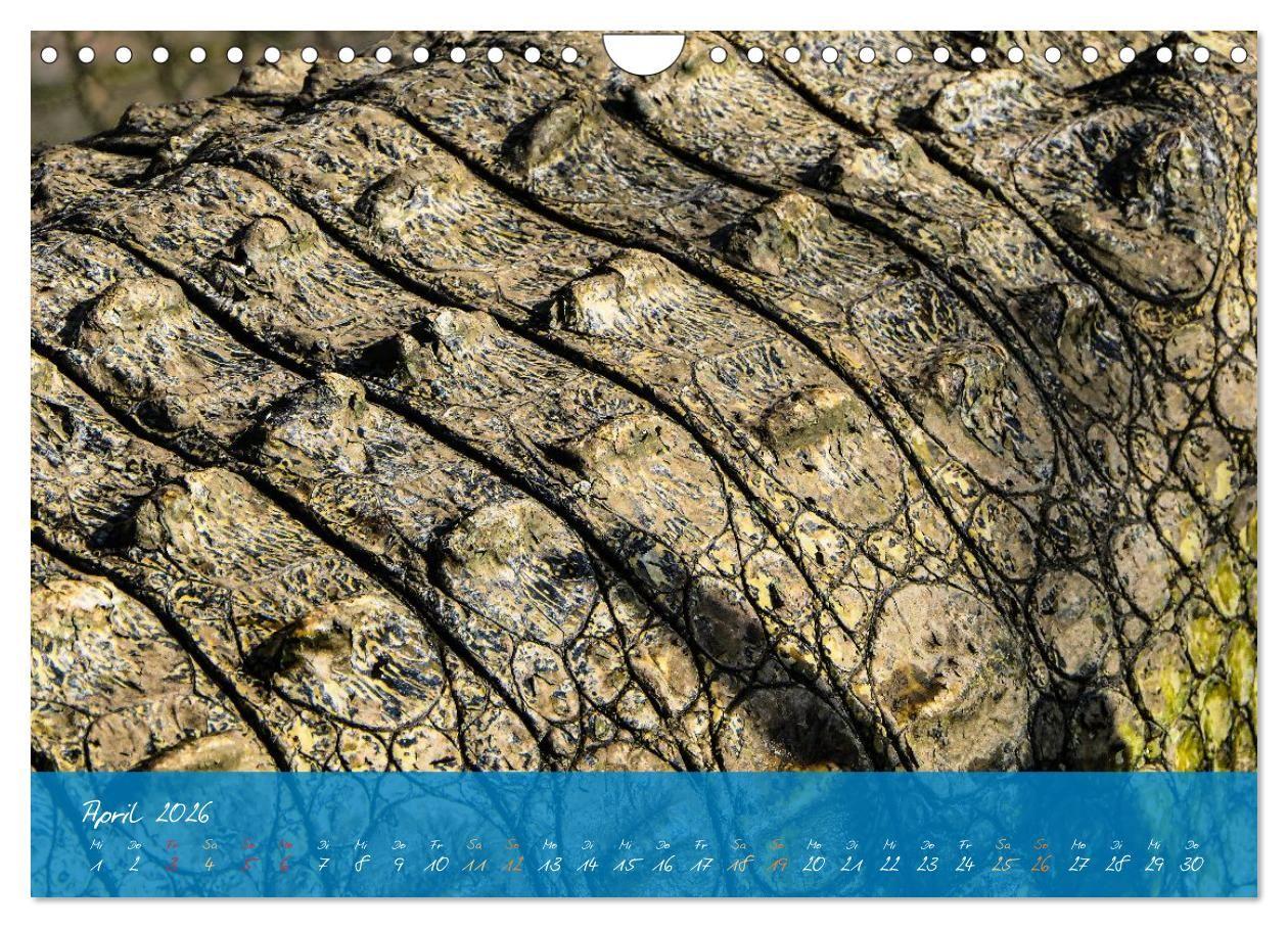 Beispielinhalt (Bild) Natur abstrakt Farben und Strukturen (Wandkalender 2026 DIN A4 quer), CALVENDO Monatskalender