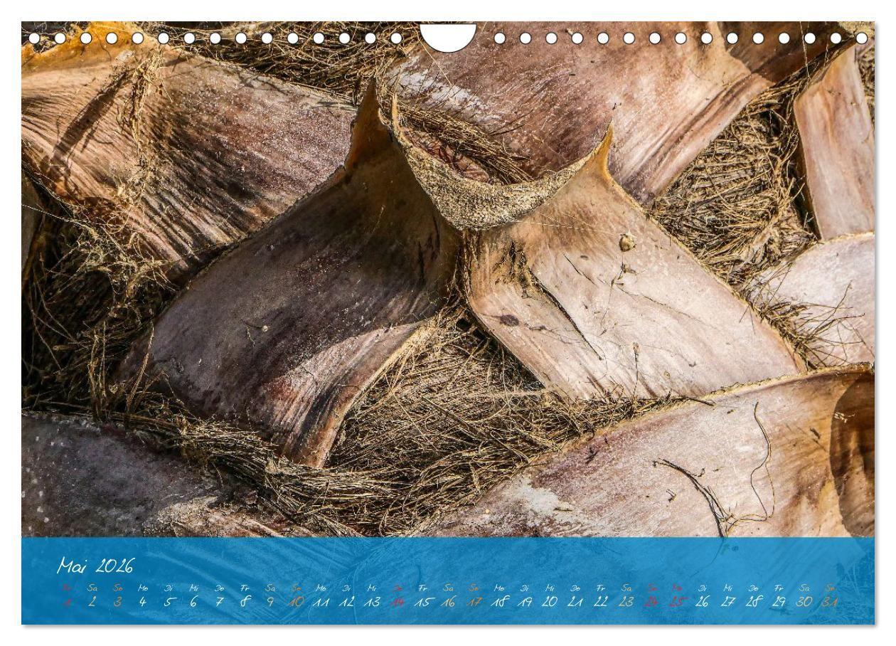 Beispielinhalt (Bild) Natur abstrakt Farben und Strukturen (Wandkalender 2026 DIN A4 quer), CALVENDO Monatskalender