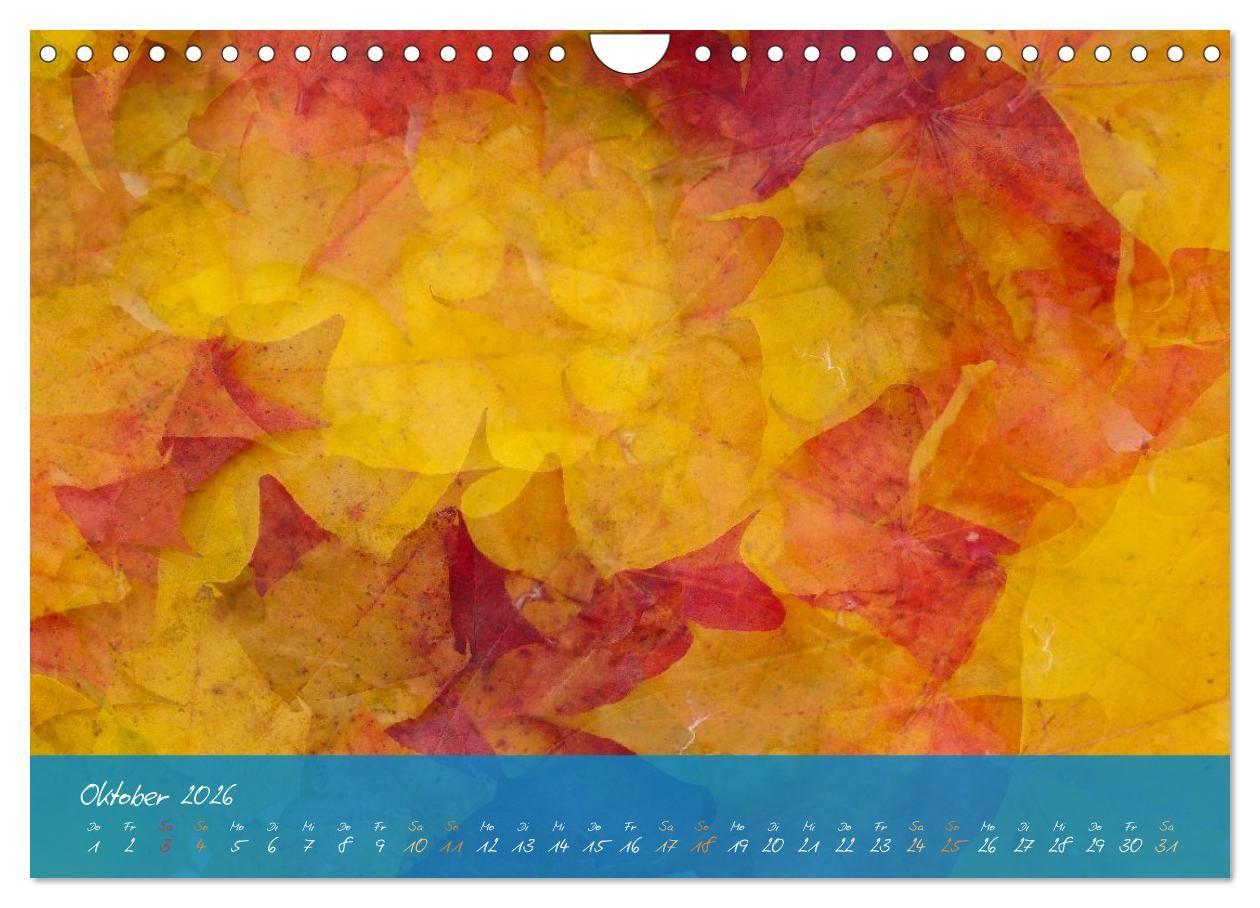 Beispielinhalt (Bild) Natur abstrakt Farben und Strukturen (Wandkalender 2026 DIN A4 quer), CALVENDO Monatskalender