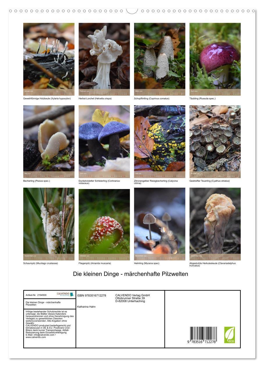 Beispielinhalt (Bild) Die kleinen Dinge - märchenhafte Pilzwelten (hochwertiger Premium Wandkalender 2026 DIN A2 hoch), Kunstdruck in Hochglanz