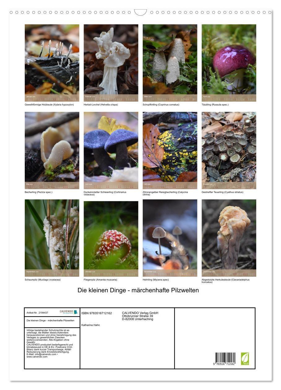 Beispielinhalt (Bild) Die kleinen Dinge - märchenhafte Pilzwelten (Wandkalender 2026 DIN A2 hoch), CALVENDO Monatskalender