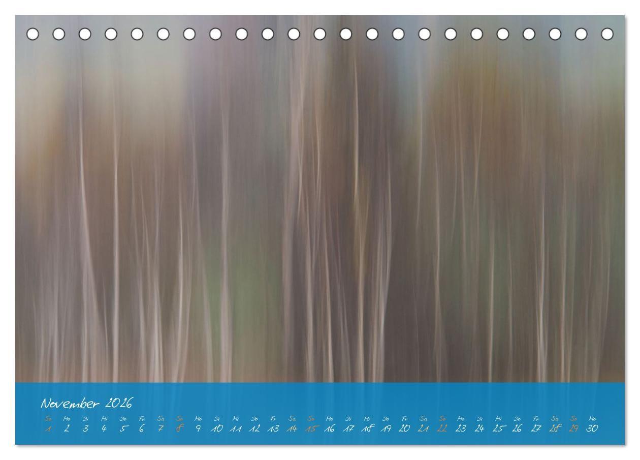 Beispielinhalt (Bild) Natur abstrakt Farben und Strukturen (Tischkalender 2026 DIN A5 quer), CALVENDO Monatskalender