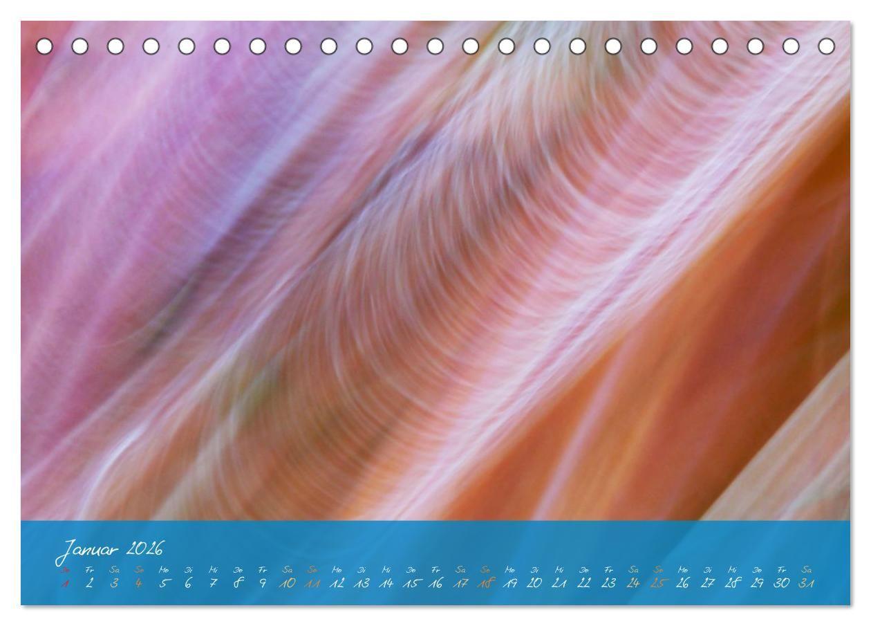 Beispielinhalt (Bild) Natur abstrakt Farben und Strukturen (Tischkalender 2026 DIN A5 quer), CALVENDO Monatskalender