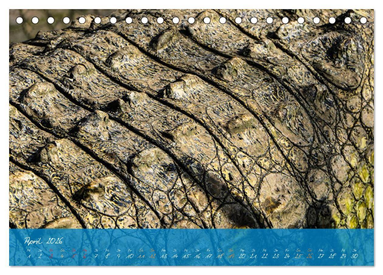 Beispielinhalt (Bild) Natur abstrakt Farben und Strukturen (Tischkalender 2026 DIN A5 quer), CALVENDO Monatskalender