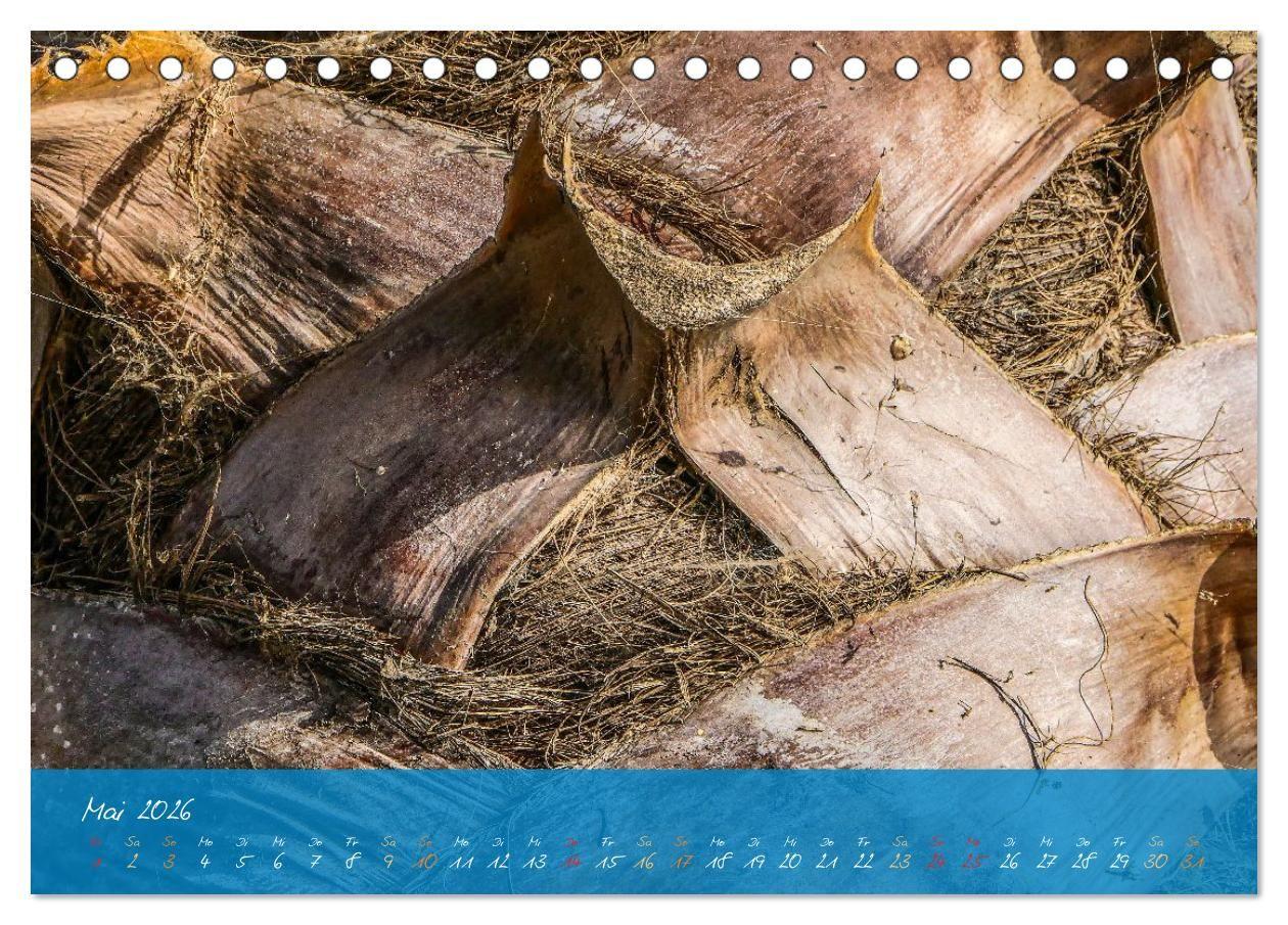 Beispielinhalt (Bild) Natur abstrakt Farben und Strukturen (Tischkalender 2026 DIN A5 quer), CALVENDO Monatskalender