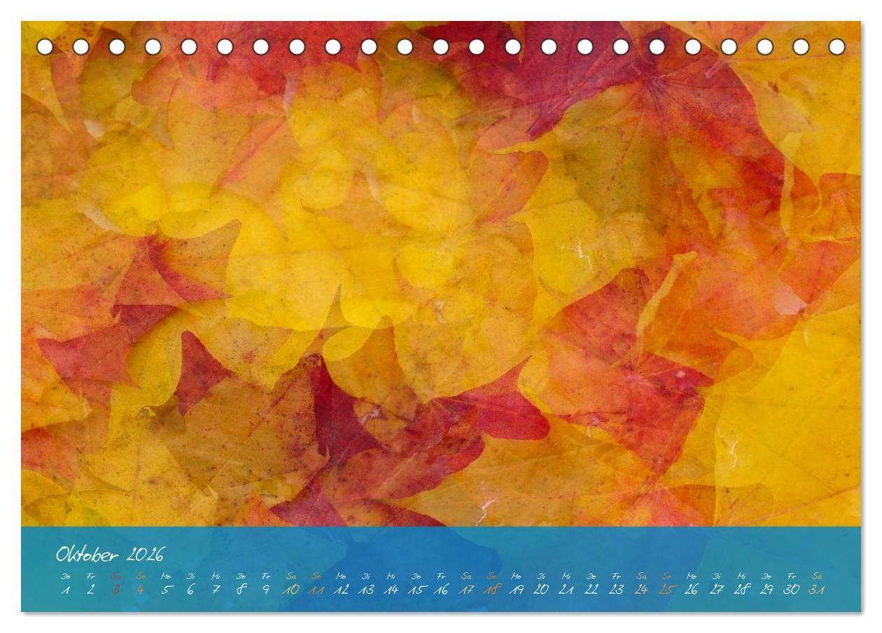 Beispielinhalt (Bild) Natur abstrakt Farben und Strukturen (Tischkalender 2026 DIN A5 quer), CALVENDO Monatskalender