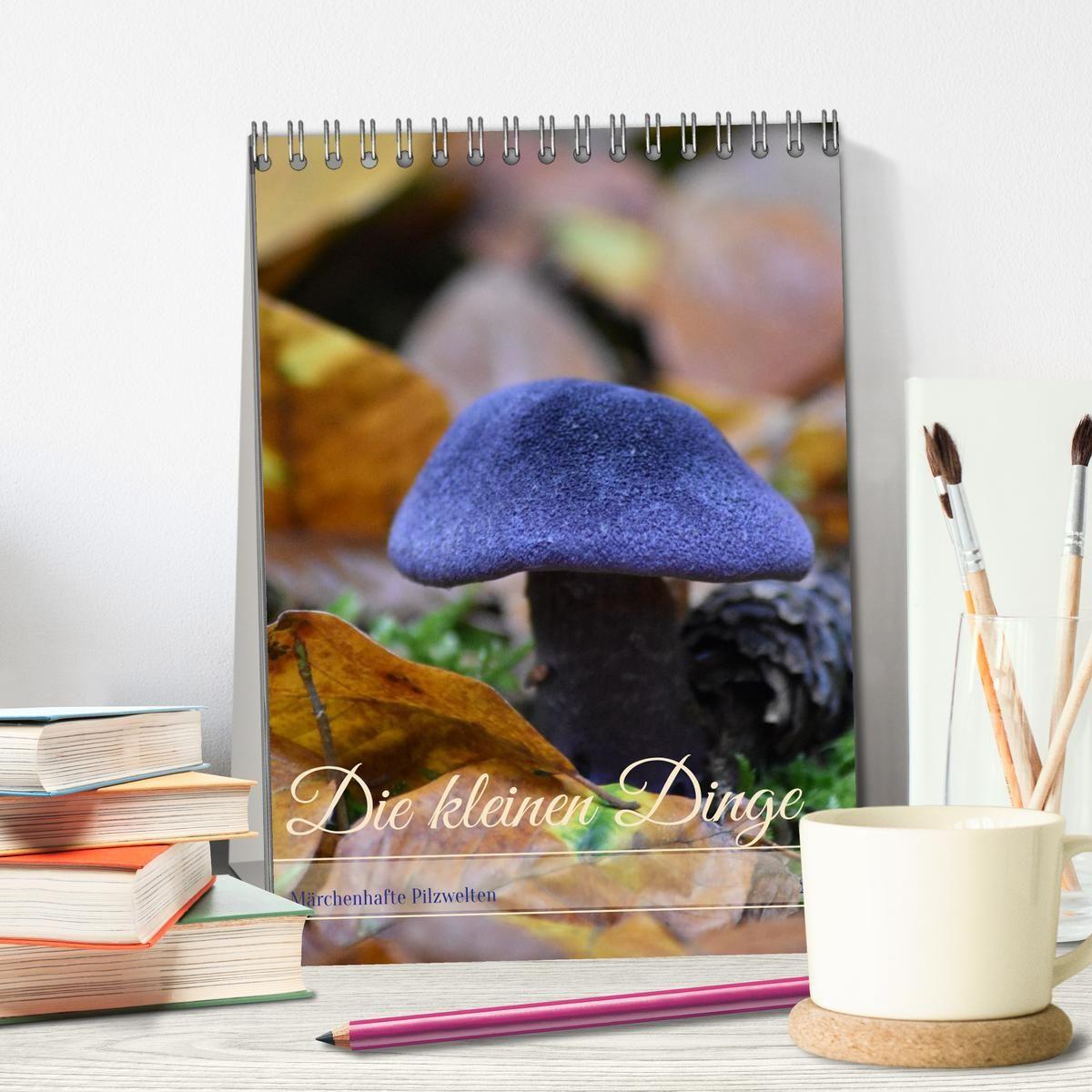 Beispielinhalt (Bild) Die kleinen Dinge - märchenhafte Pilzwelten (Tischkalender 2026 DIN A5 hoch), CALVENDO Monatskalender