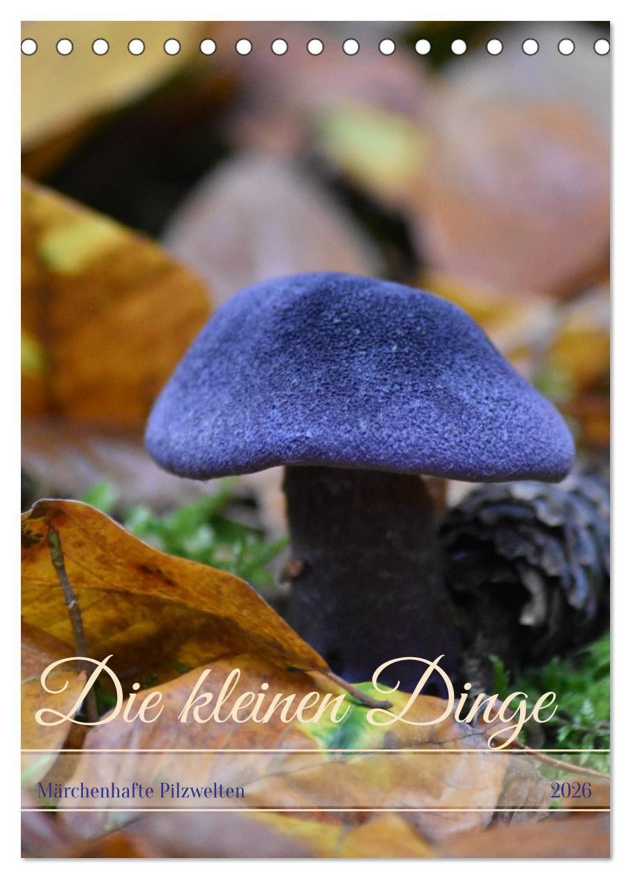 Vorderes Coverbild Die kleinen Dinge - märchenhafte Pilzwelten (Tischkalender 2026 DIN A5 hoch), CALVENDO Monatskalender