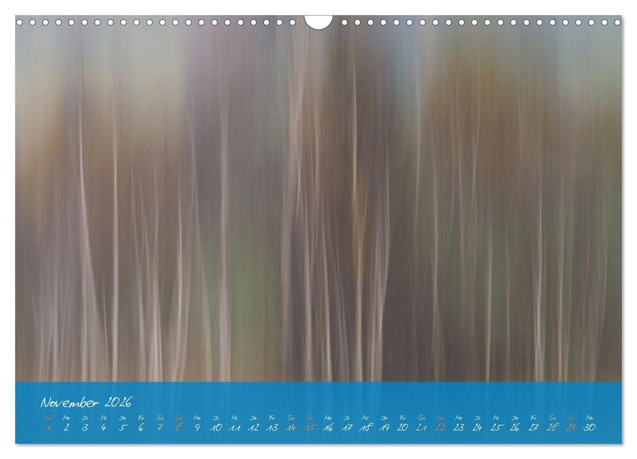 Beispielinhalt (Bild) Natur abstrakt Farben und Strukturen (Wandkalender 2026 DIN A3 quer), CALVENDO Monatskalender