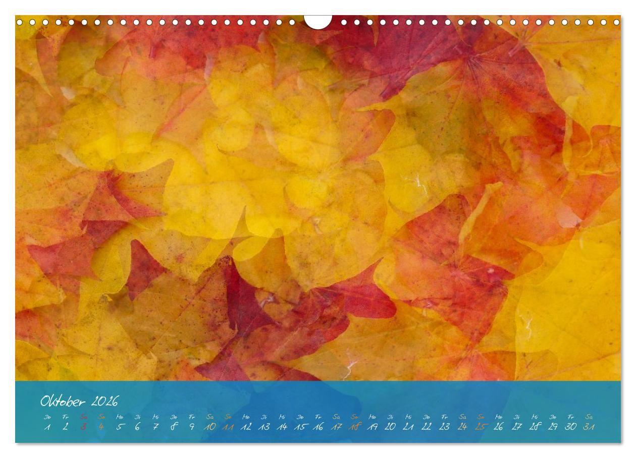 Beispielinhalt (Bild) Natur abstrakt Farben und Strukturen (Wandkalender 2026 DIN A3 quer), CALVENDO Monatskalender