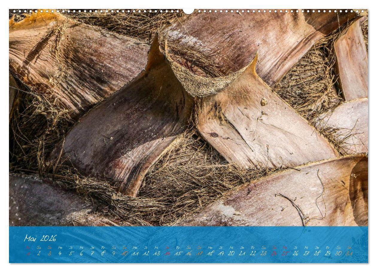 Beispielinhalt (Bild) Natur abstrakt Farben und Strukturen (hochwertiger Premium Wandkalender 2026 DIN A2 quer), Kunstdruck in Hochglanz