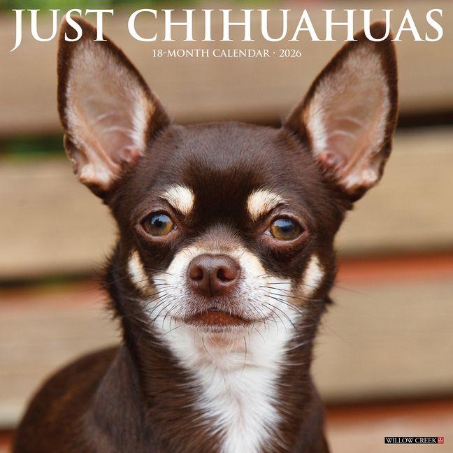 Vorderes Coverbild Chihuahuas 2026 12 X 12 Wall Calendar
