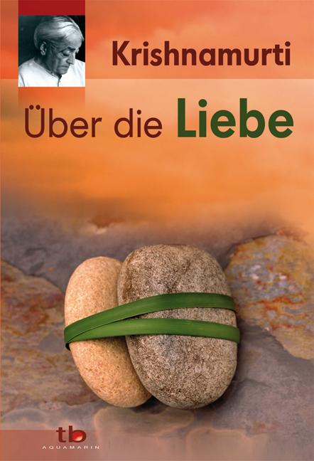 Vorderes Coverbild Über die Liebe