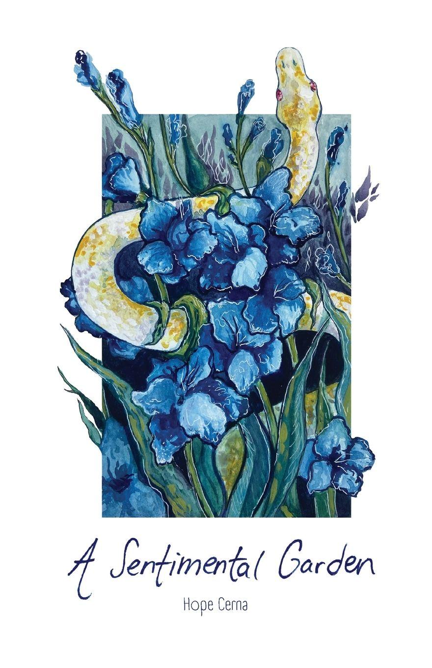 Vorderes Coverbild A Sentimental Garden