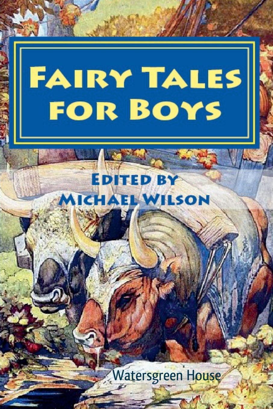 Vorderes Coverbild Fairy Tales for Boys