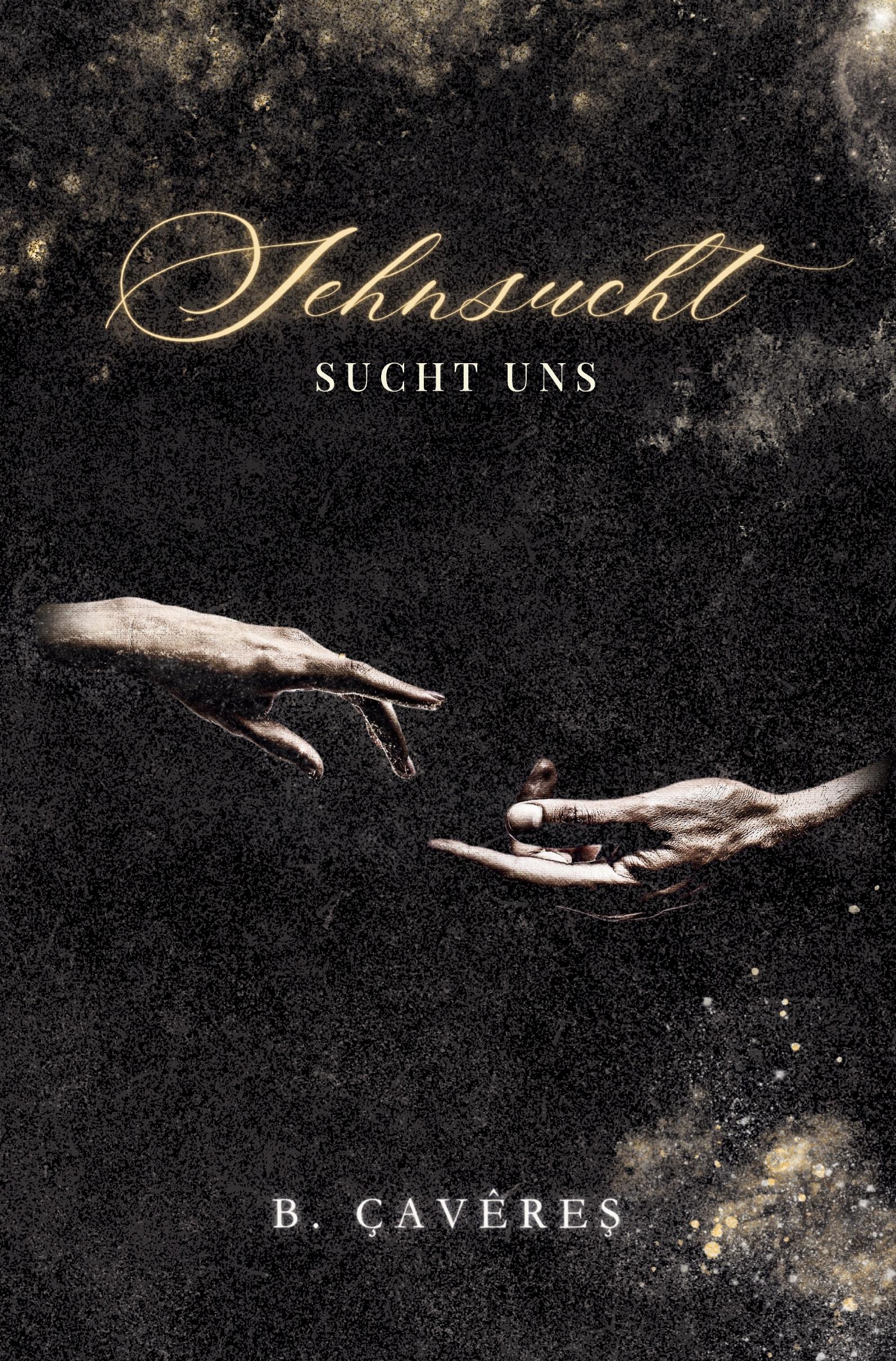 Vorderes Coverbild Sehnsucht