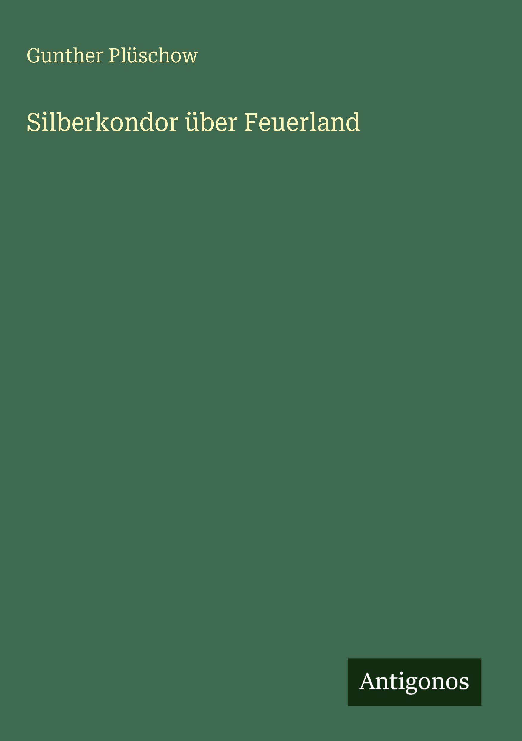 Vorderes Coverbild Silberkondor über Feuerland