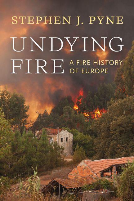 Vorderes Coverbild Undying Fire