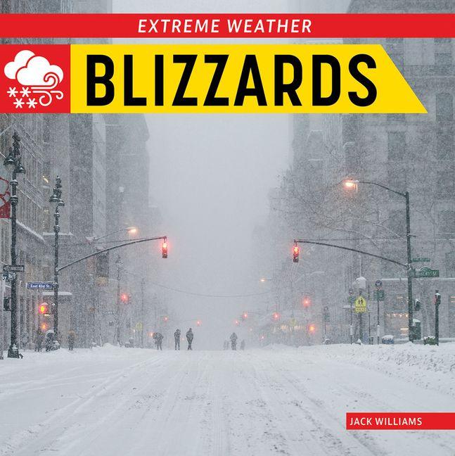 Vorderes Coverbild Blizzards