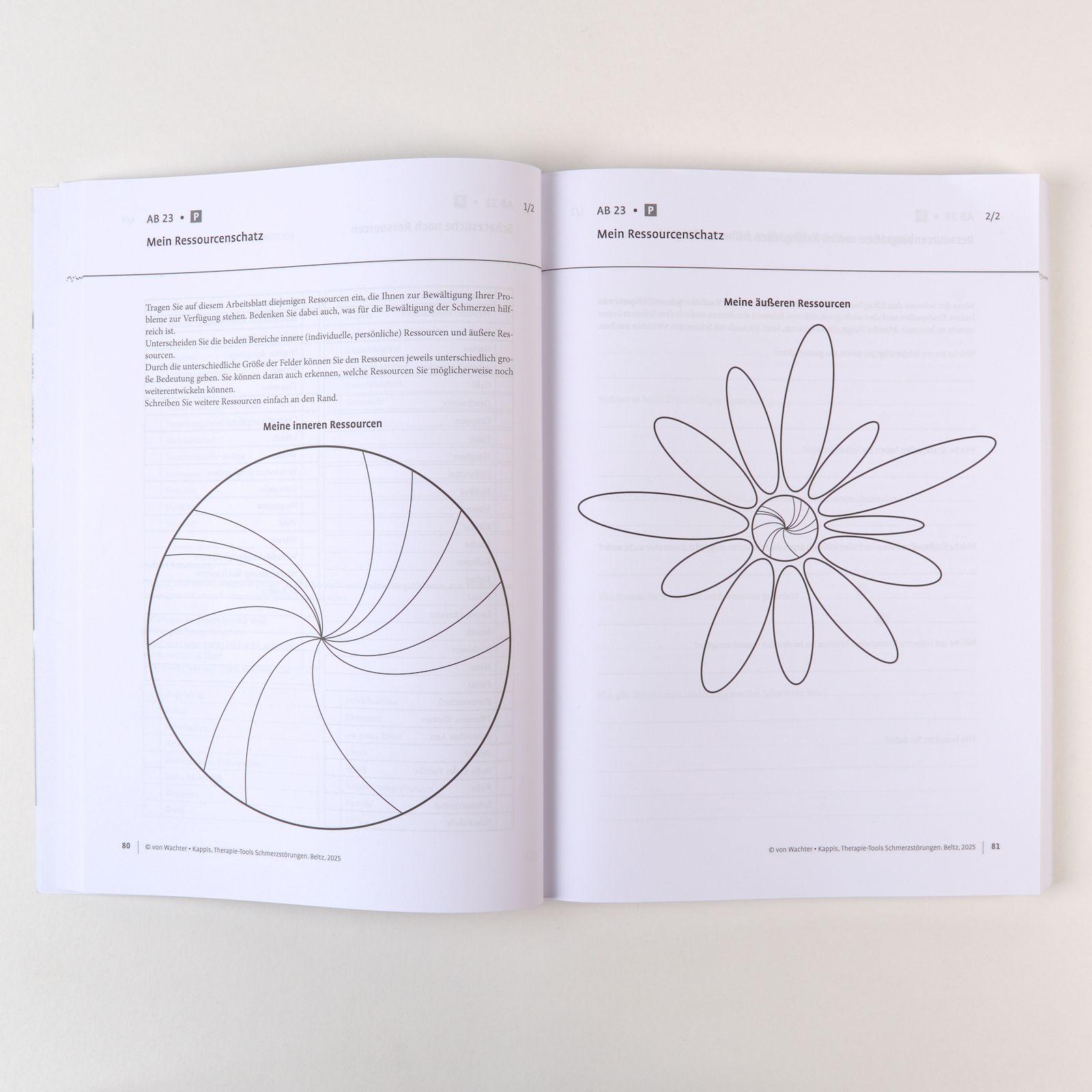 Beispielinhalt (Bild) Therapie-Tools Schmerzstörungen