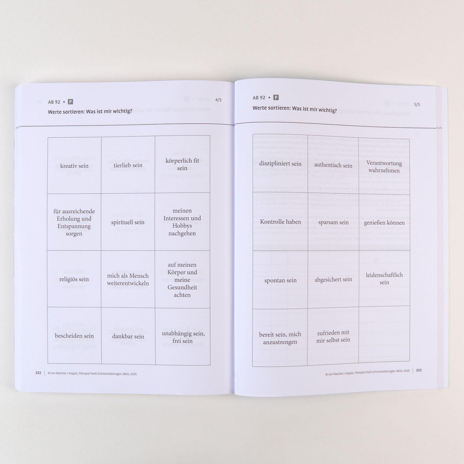 Beispielinhalt (Bild) Therapie-Tools Schmerzstörungen