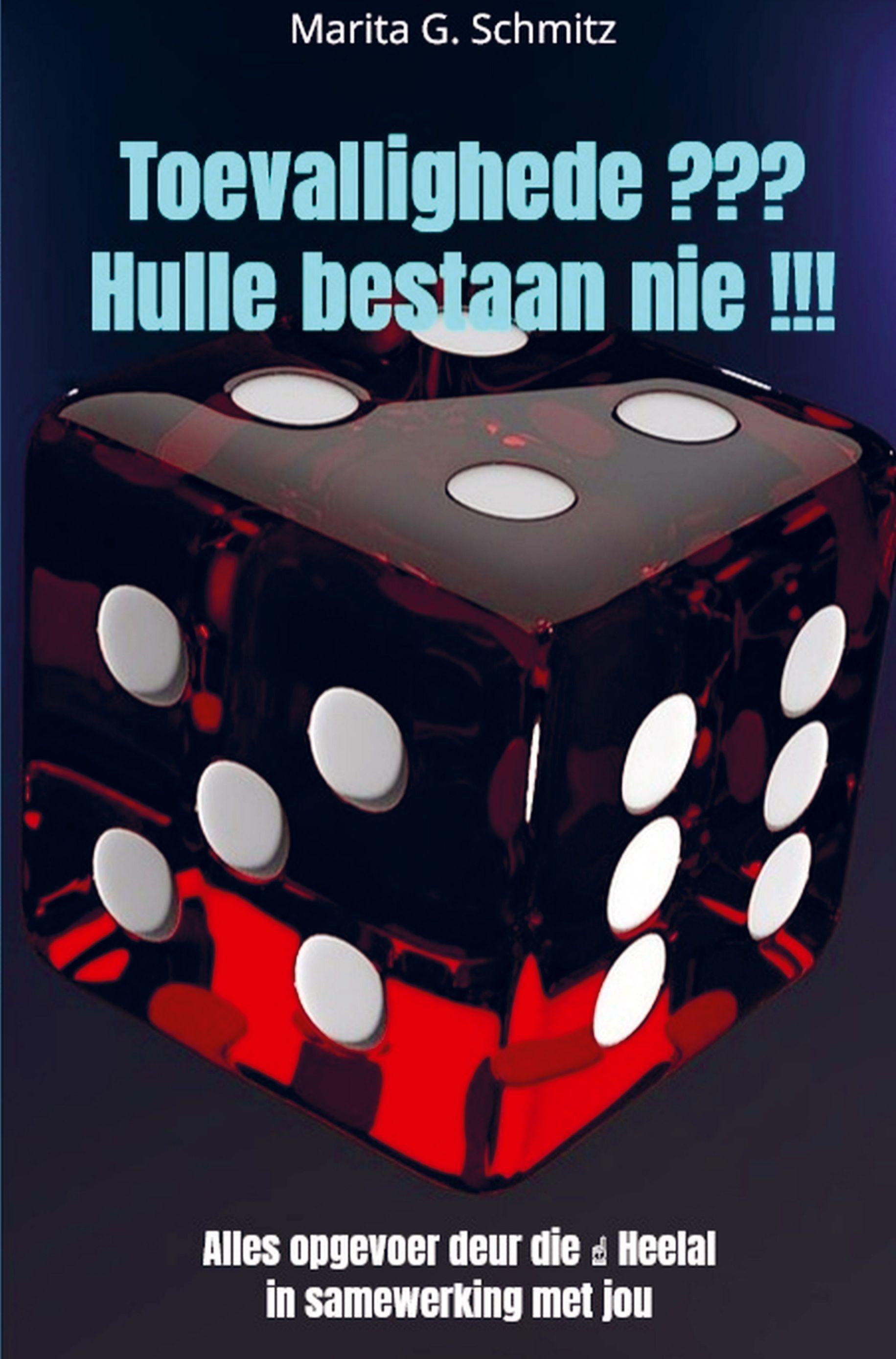 Vorderes Coverbild Toevallighede ??? Hulle bestaan nie !!!