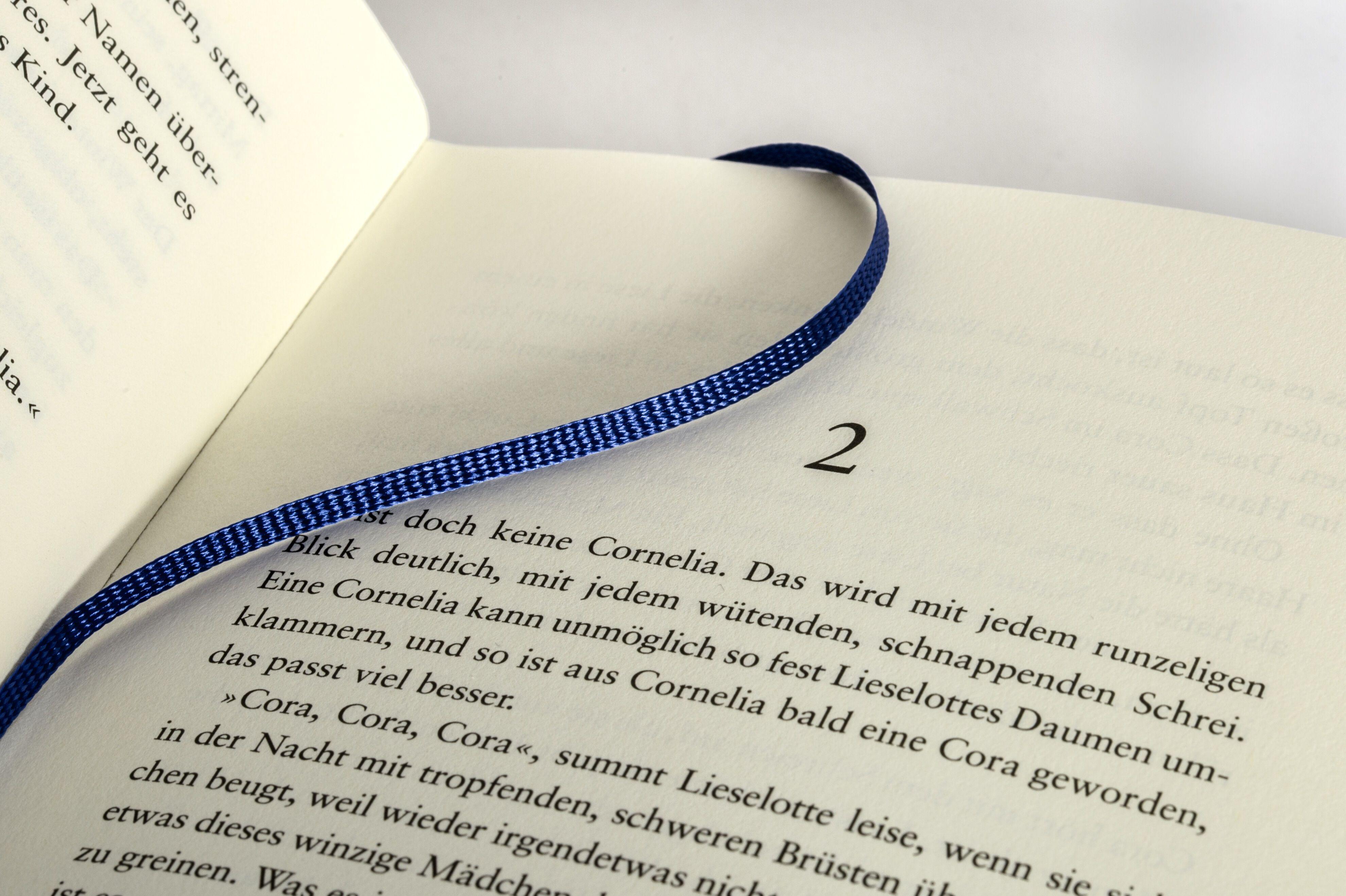 Beispielinhalt (Bild) Die Riesinnen