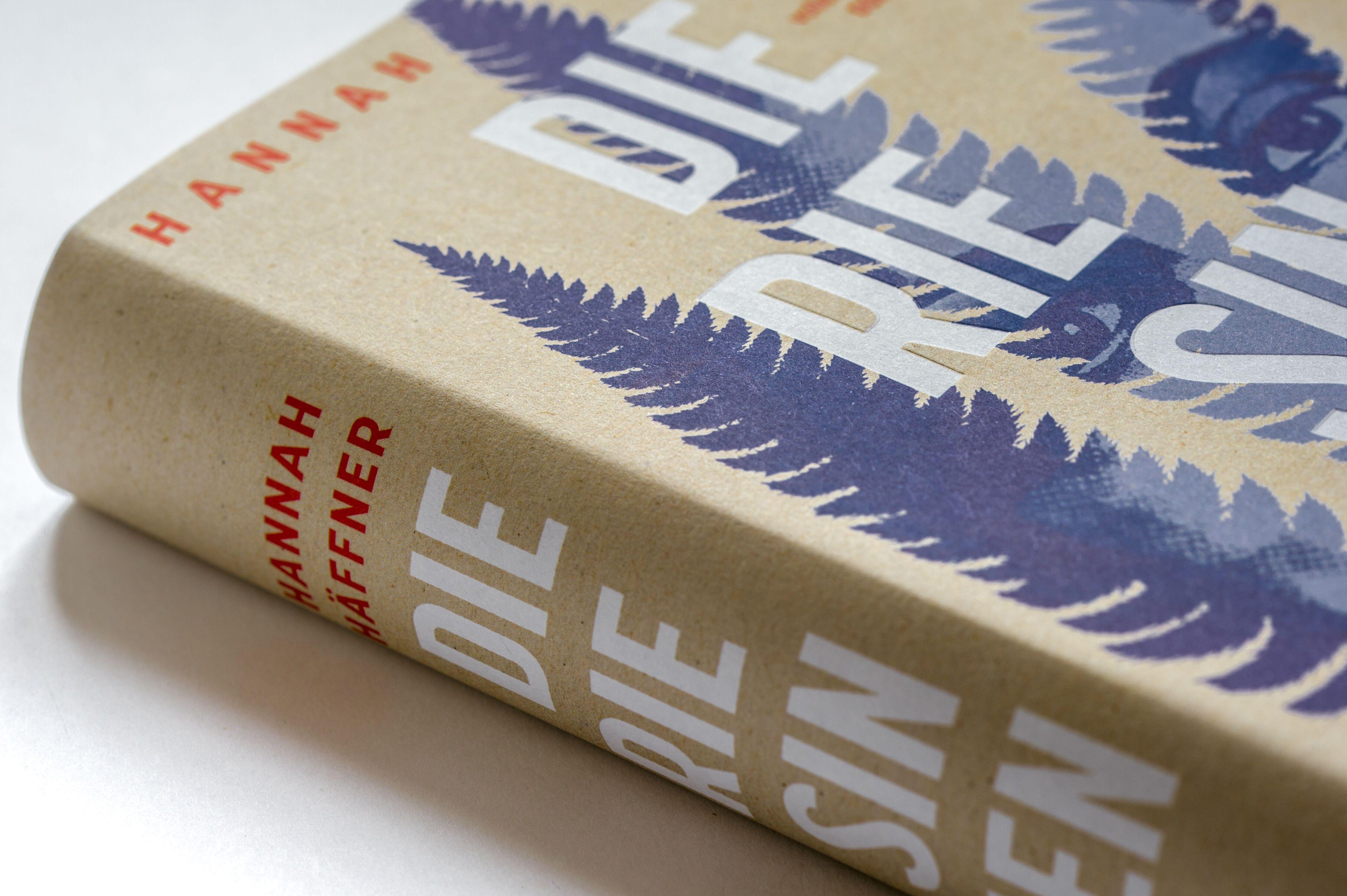 Beispielinhalt (Bild) Die Riesinnen