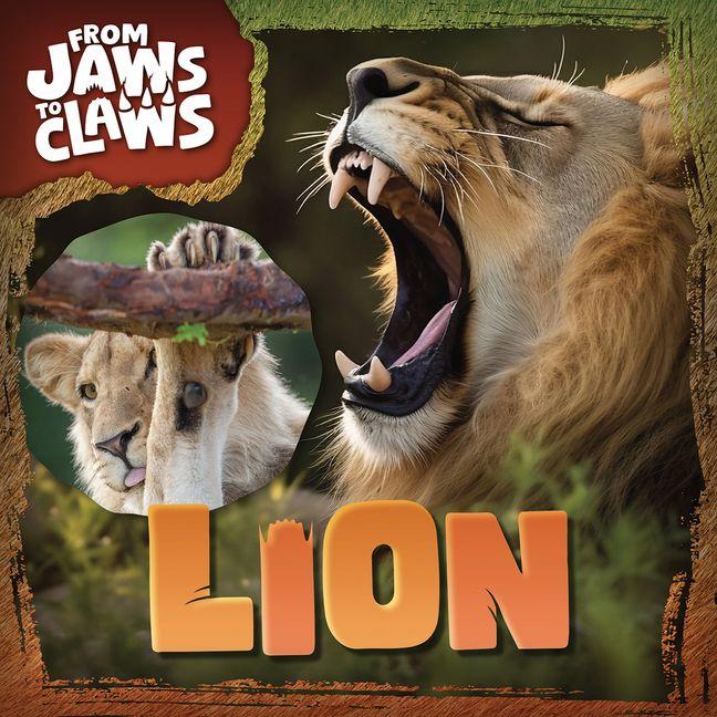 Vorderes Coverbild Lion