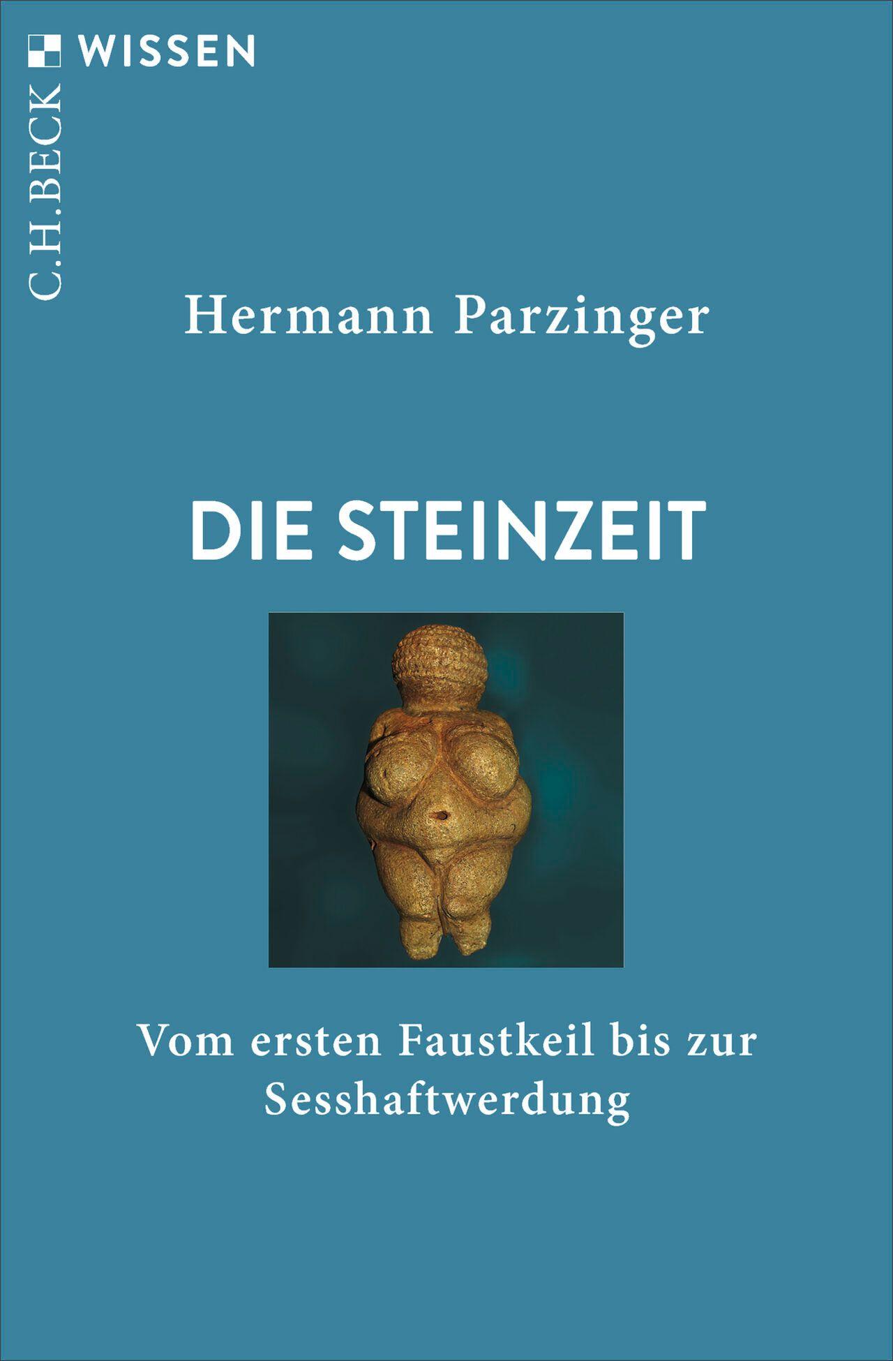 Vorderes Coverbild Die Steinzeit