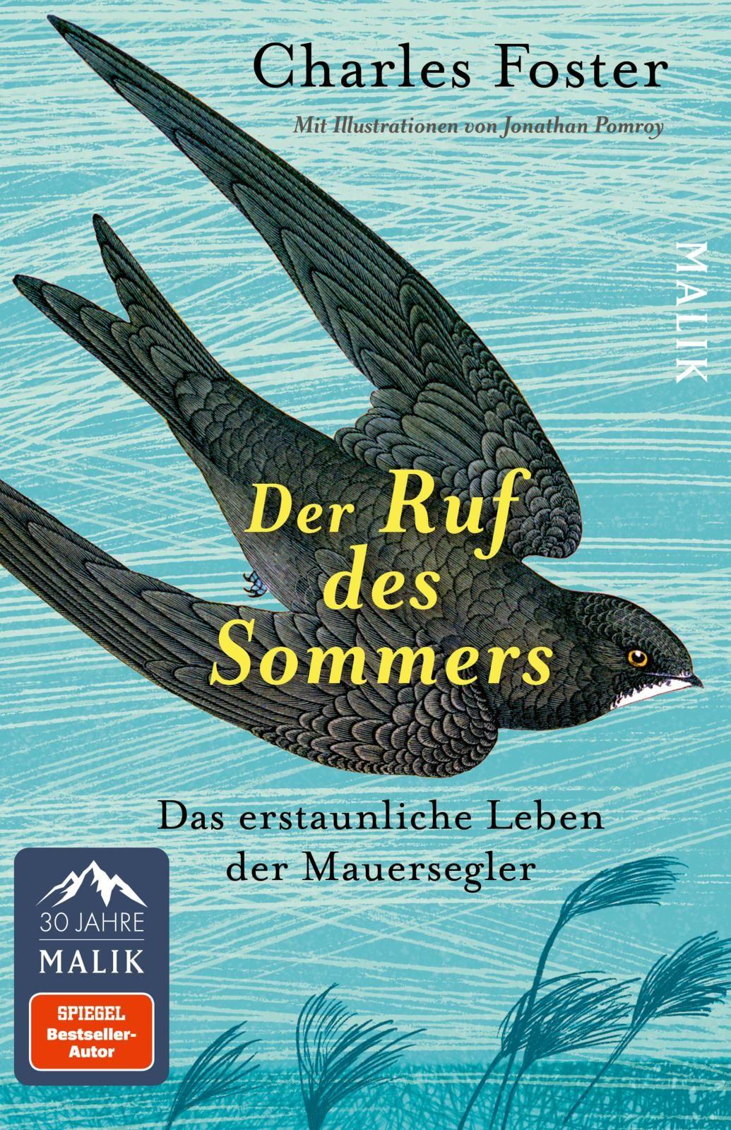 Vorderes Coverbild Der Ruf des Sommers