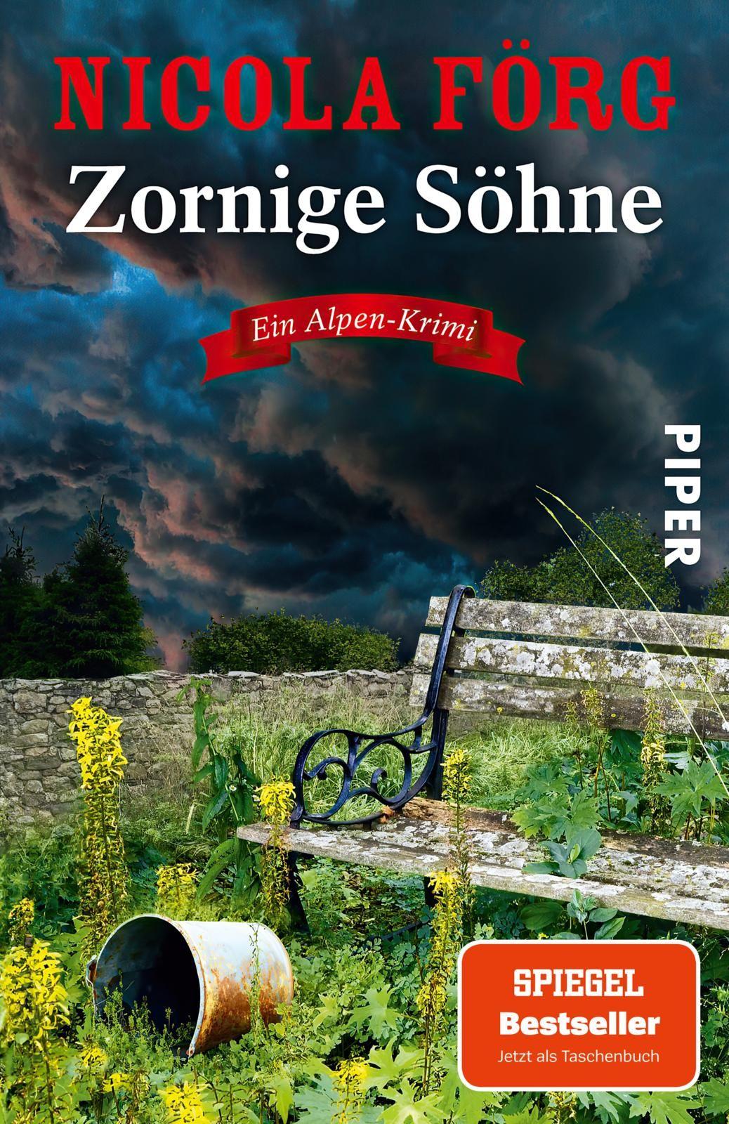 Vorderes Coverbild Zornige Söhne