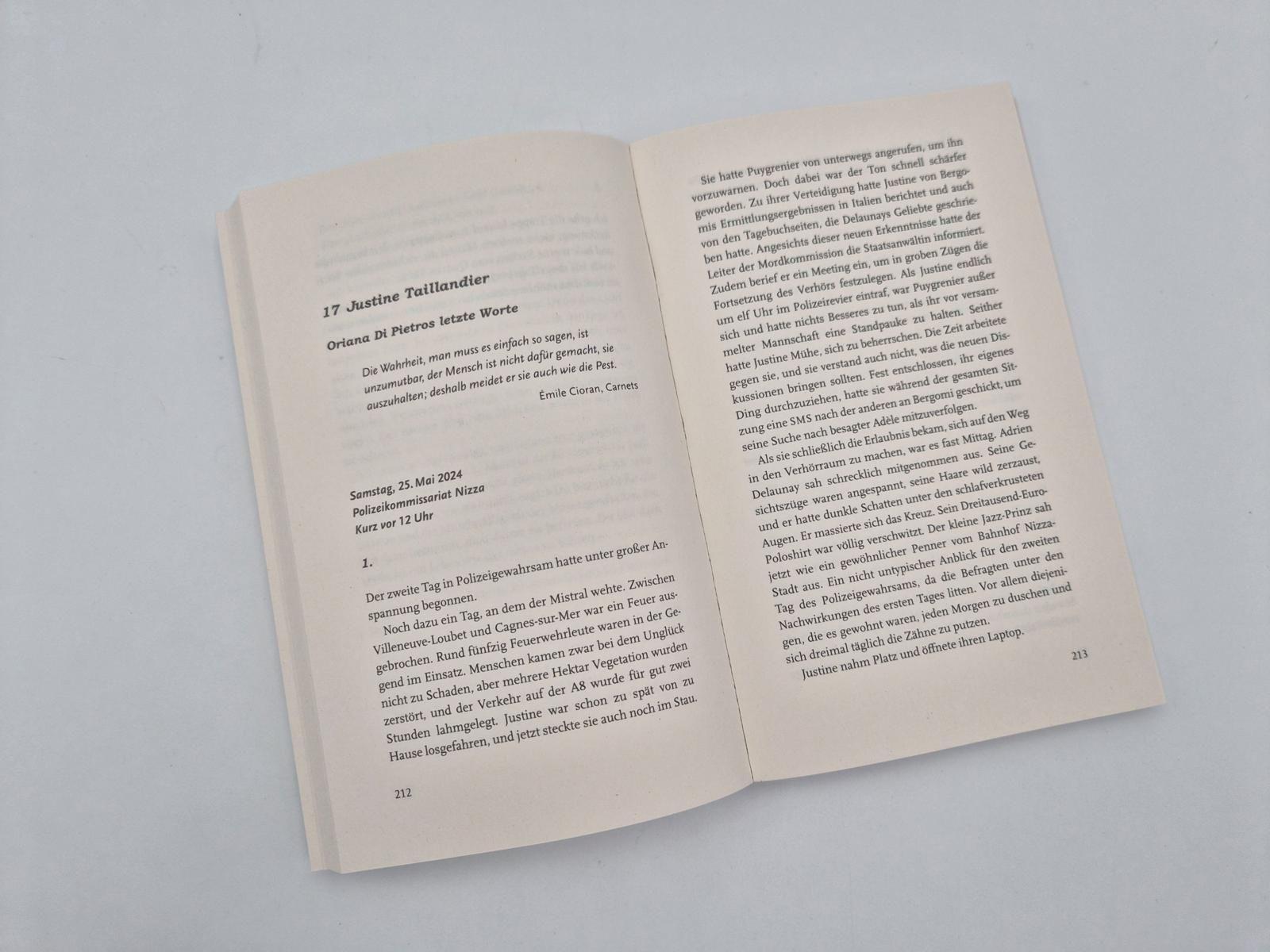 Beispielinhalt (Bild) Die fremde Frau