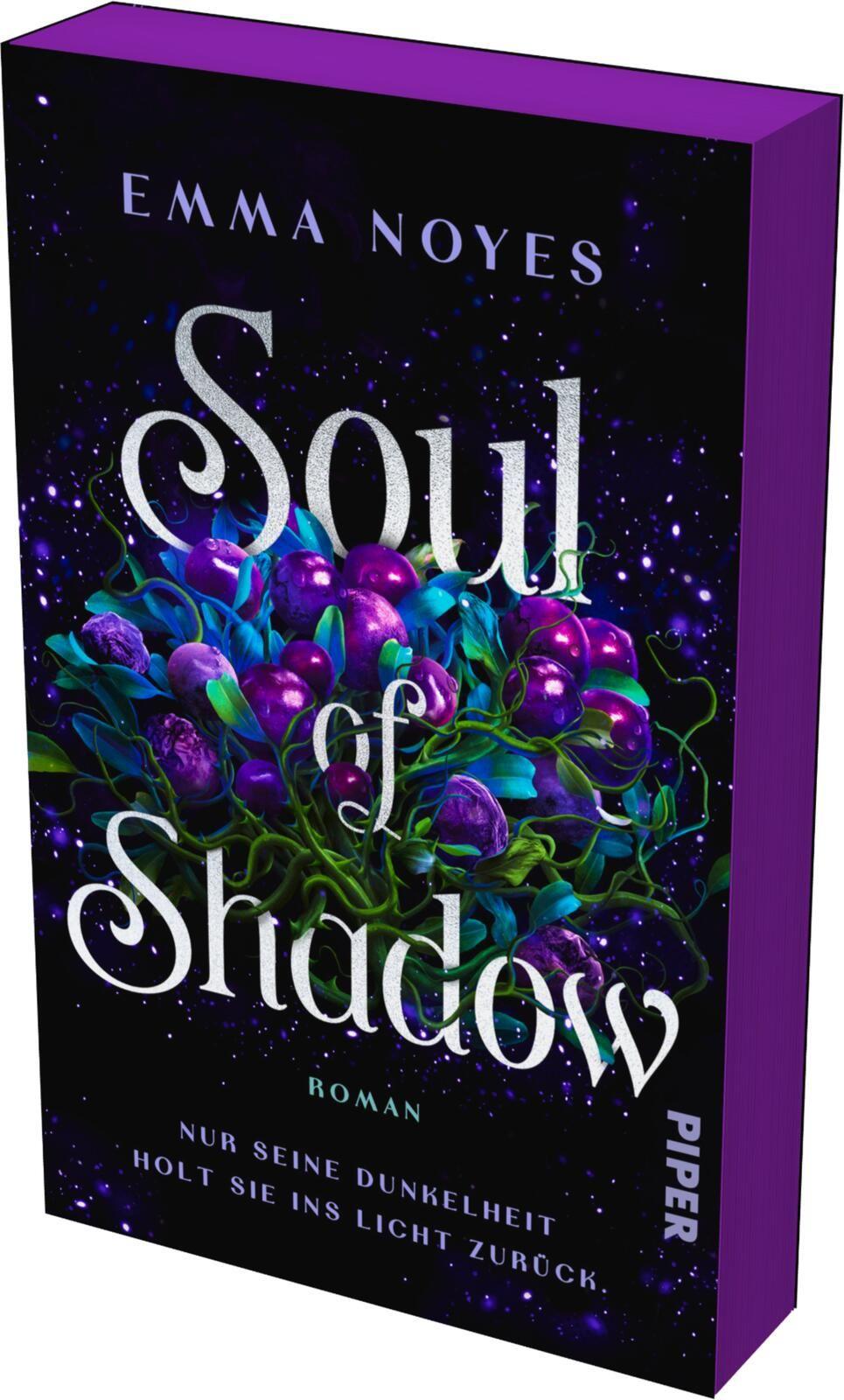 Vorderes Coverbild Soul of Shadow
