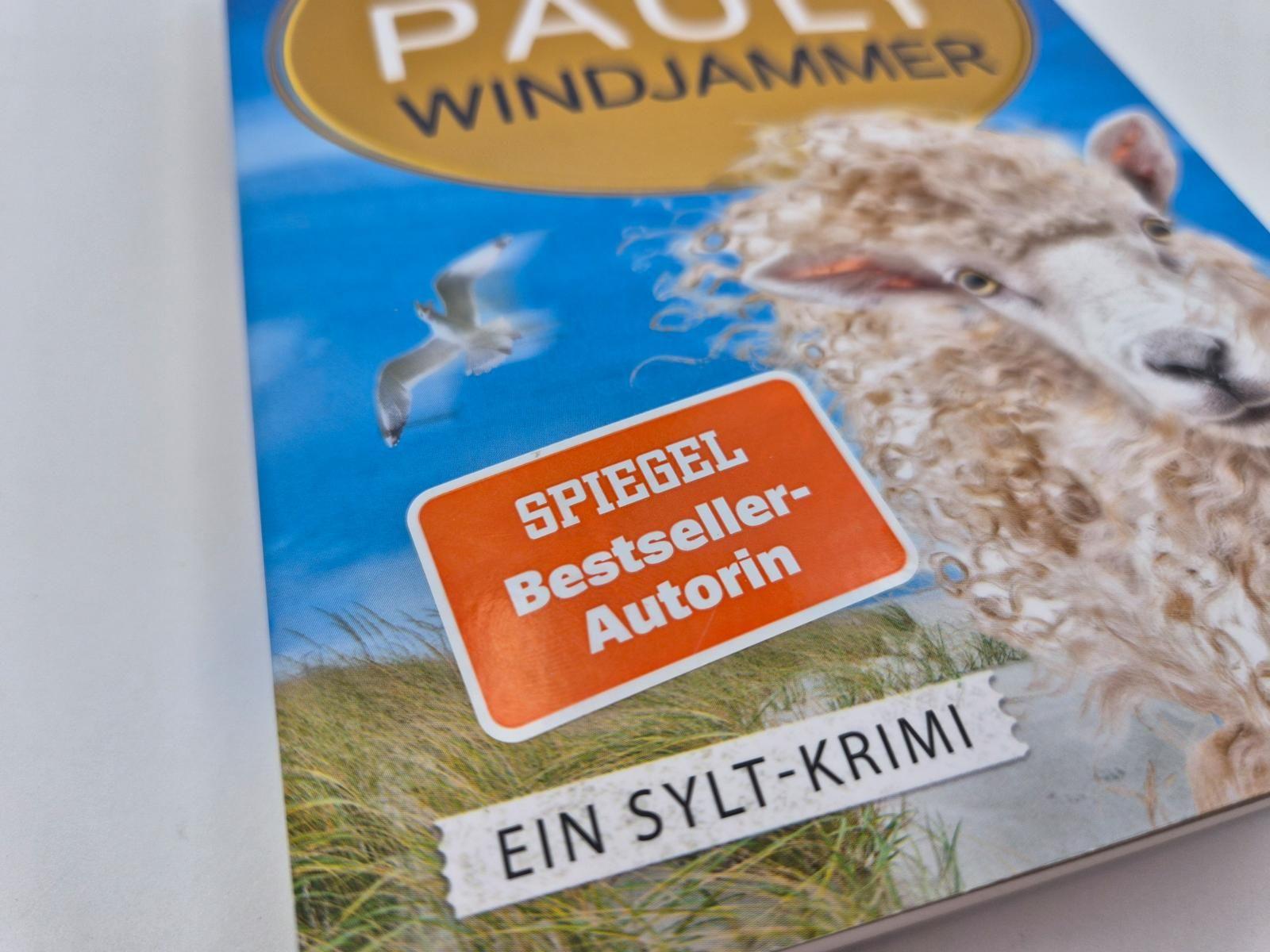 Beispielinhalt (Bild) Windjammer