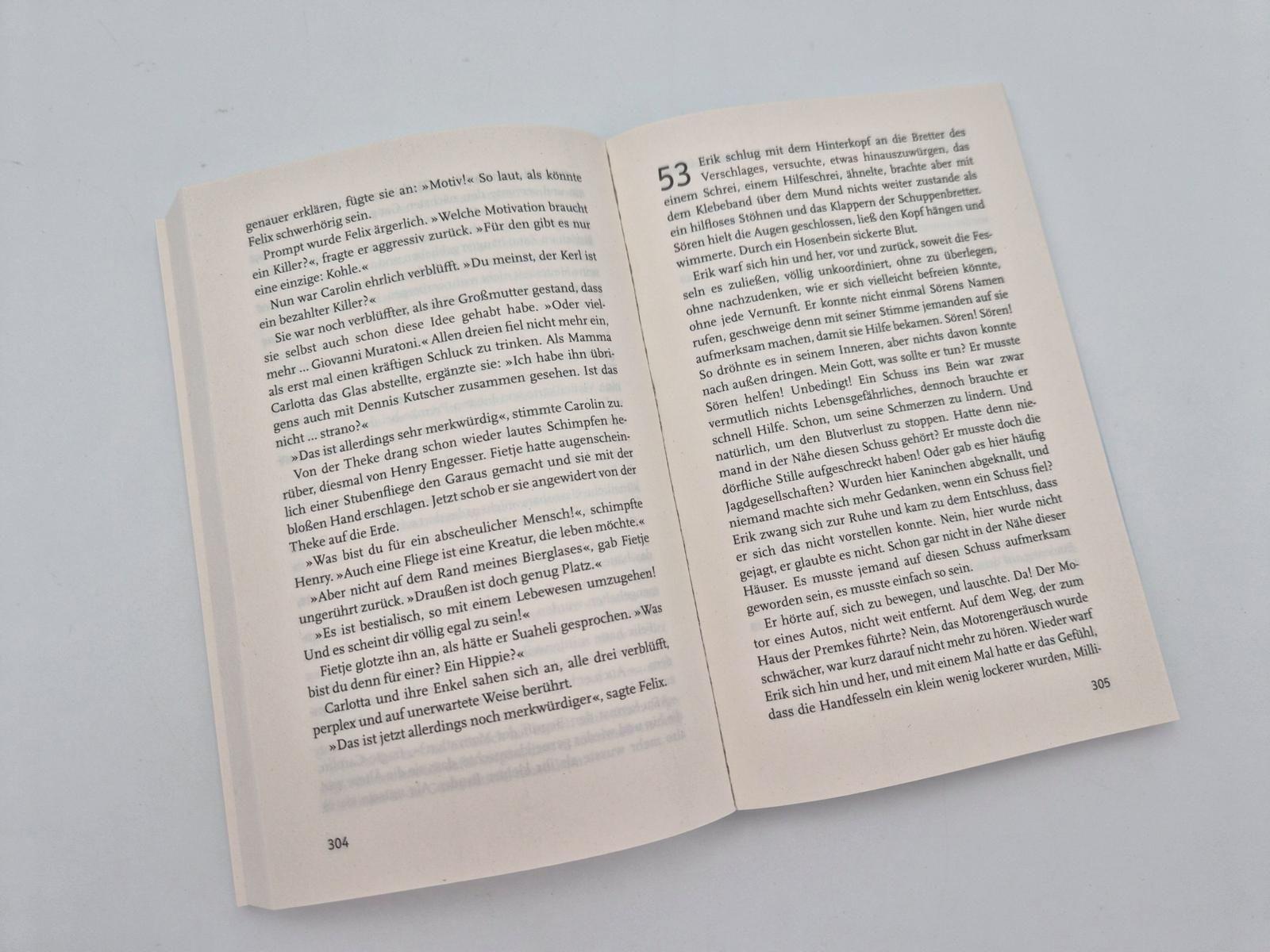 Beispielinhalt (Bild) Windjammer