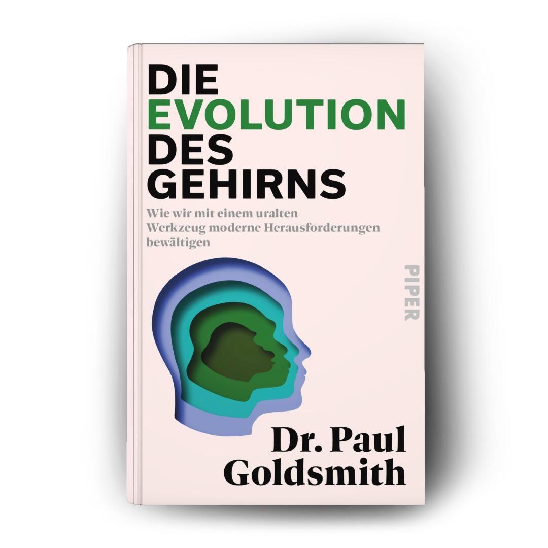 Beispielinhalt (Bild) Die Evolution des Gehirns