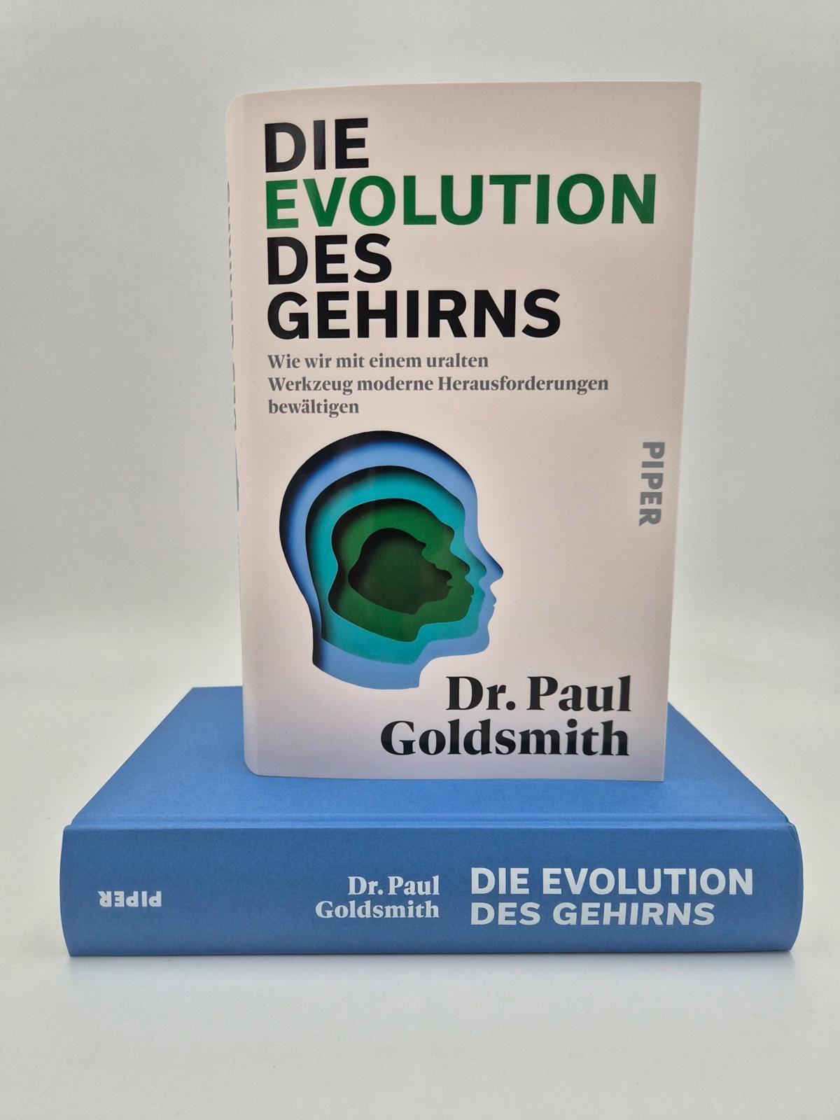 Beispielinhalt (Bild) Die Evolution des Gehirns