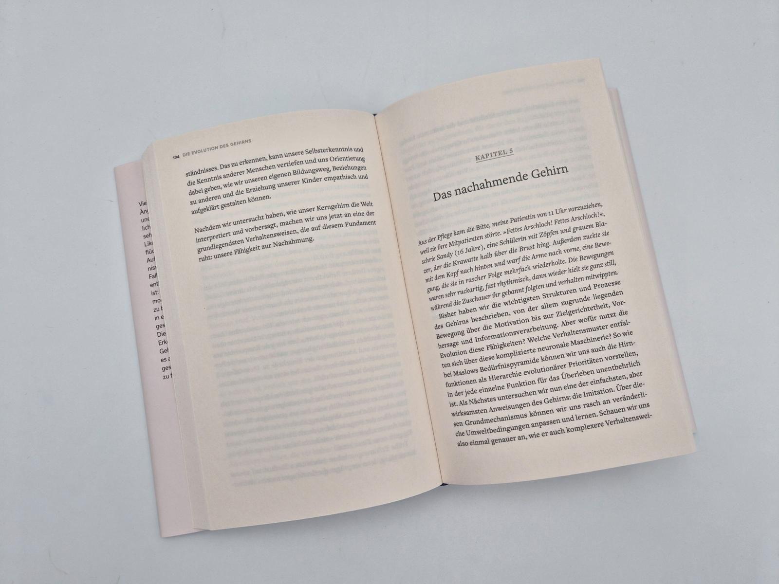 Beispielinhalt (Bild) Die Evolution des Gehirns