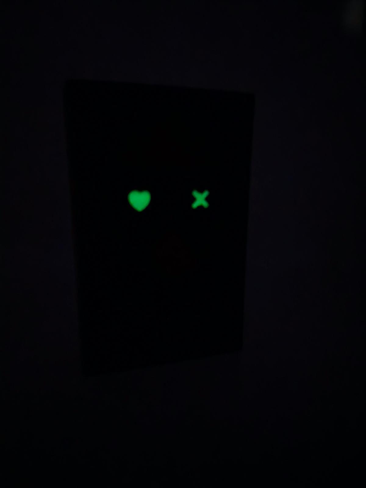 Beispielinhalt (Bild) Die Evolution des Gehirns