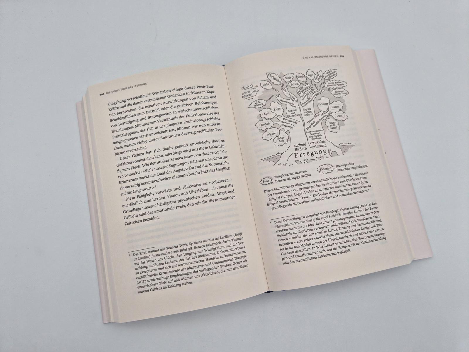 Beispielinhalt (Bild) Die Evolution des Gehirns