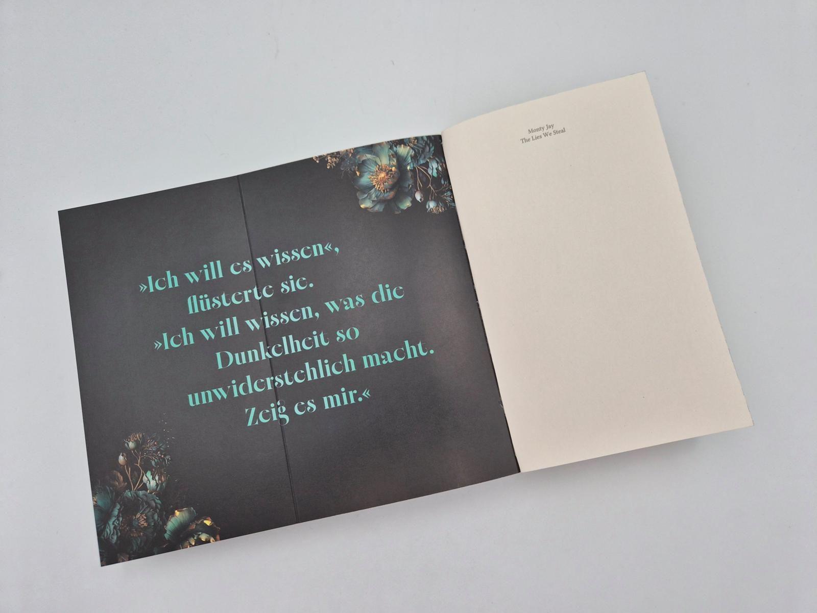 Beispielinhalt (Bild) The Lies we steal