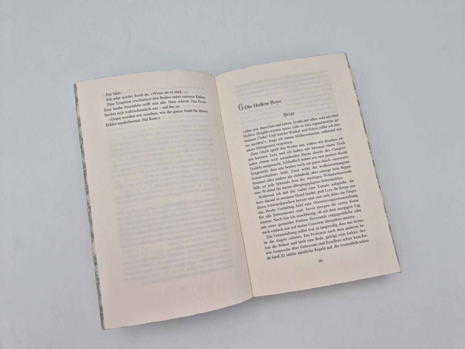 Beispielinhalt (Bild) The Lies we steal