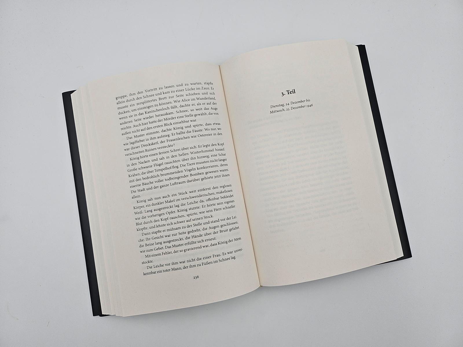 Beispielinhalt (Bild) Die weiße Nacht