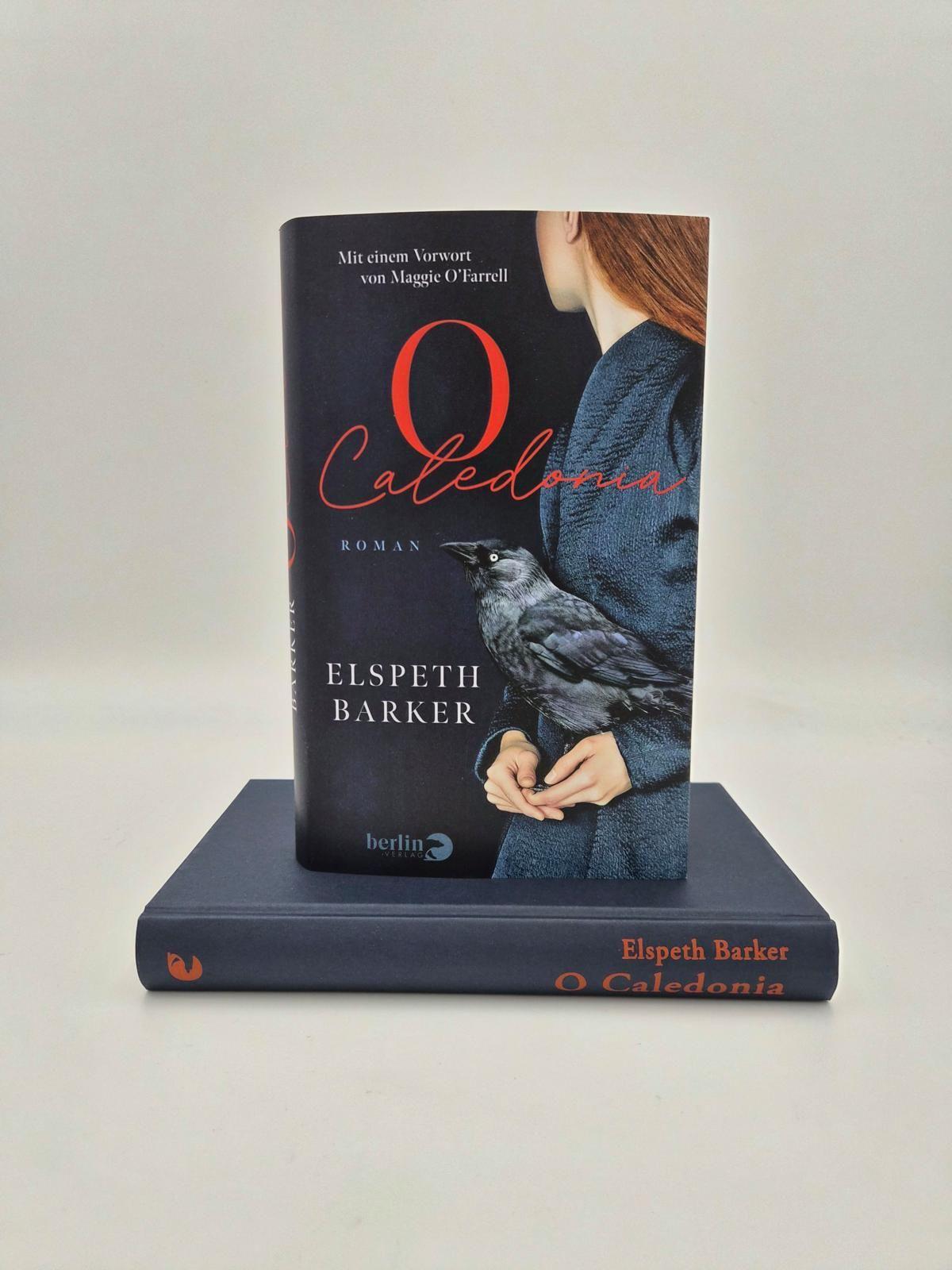 Beispielinhalt (Bild) O Caledonia